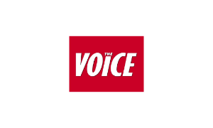 The Voice LQ New